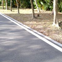 南港公園走路團