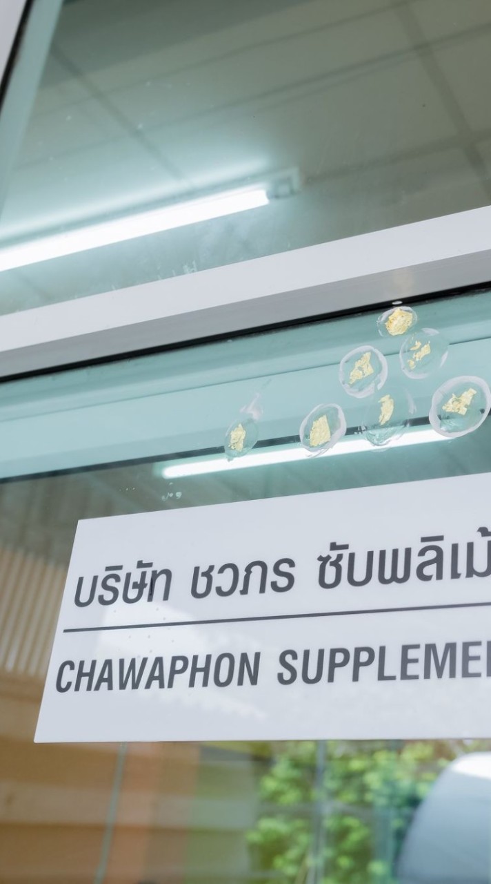 รวม office CWP