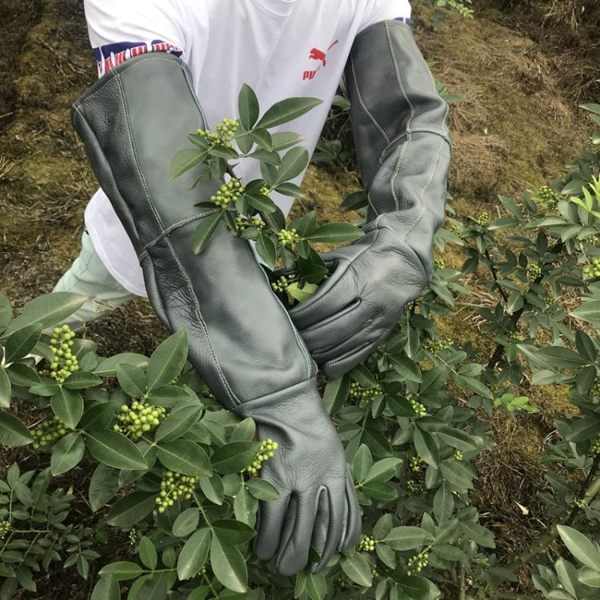 牛皮防刺手套 專業園林園藝修剪 摘剝板栗花椒月季仙人掌防刺防扎
