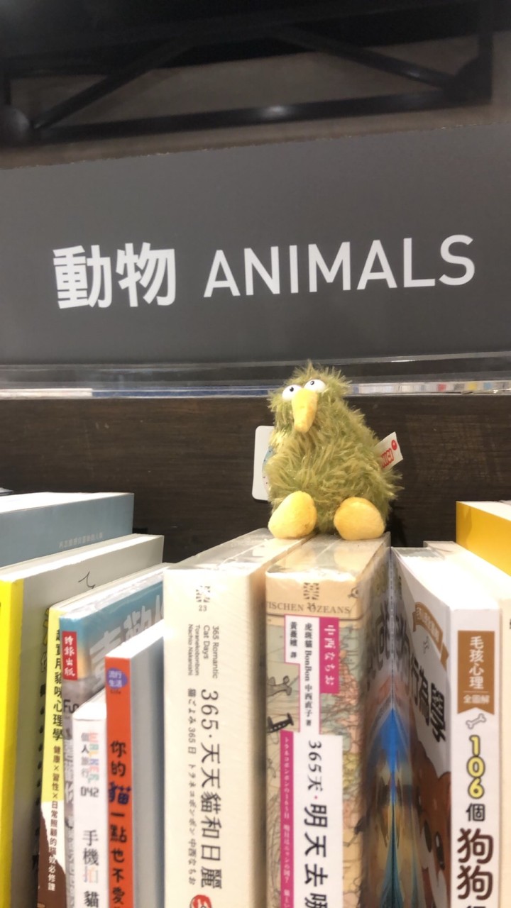毛毛朋友幫