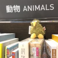 毛毛朋友幫