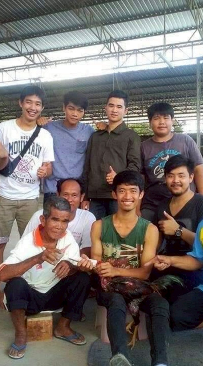 ไก่เก่งภูธร2