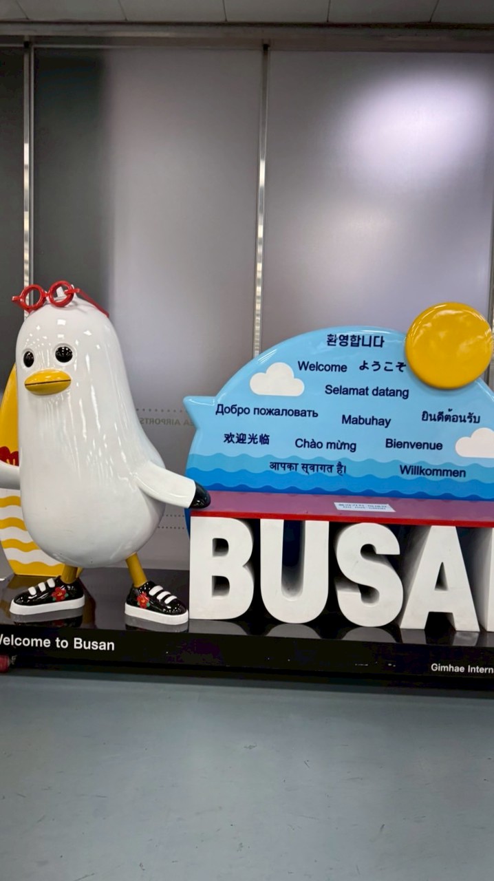 🇰🇷釜山ひとり旅   〜旅友募集〜