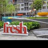 Plum Fresh/Alive /Kavecolonyส่งอาหารbu