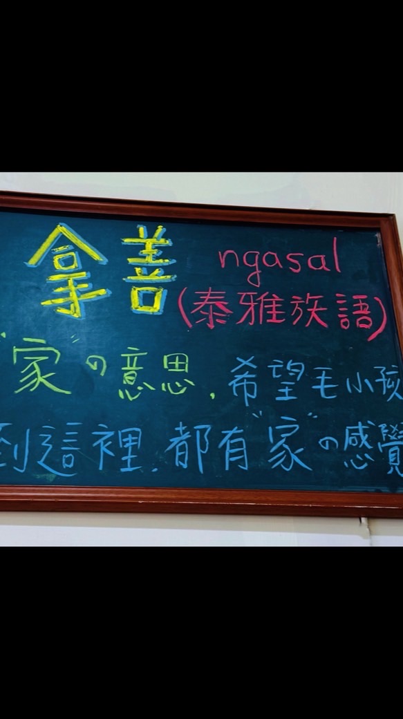 拿善寵物團購🐩🐩🐈🐈