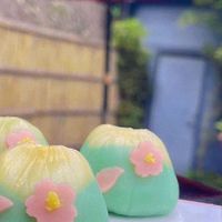 日本寶僑洗衣球/衛生紙/濕紙巾/尿布/一件即可出貨