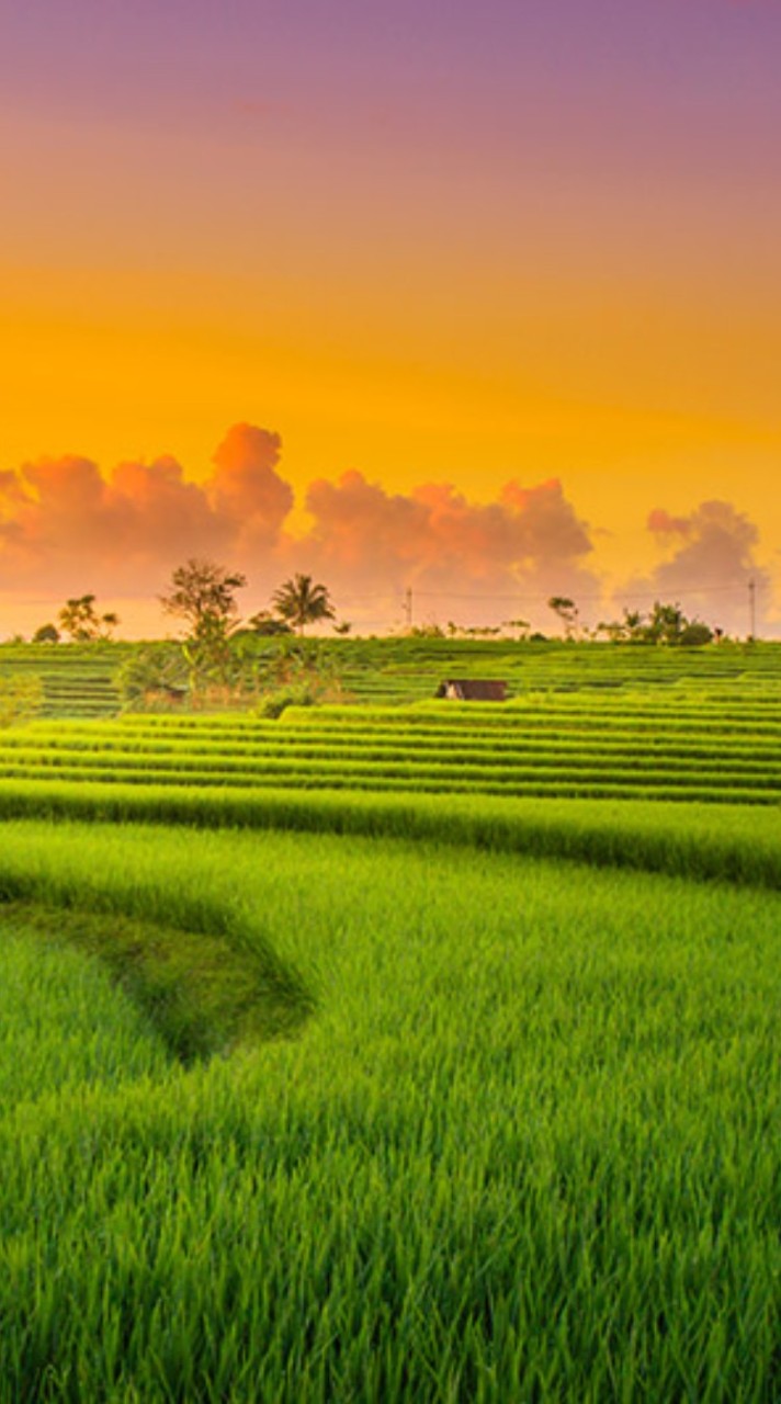 โครงการสตรีตำบลซำยาง 2567