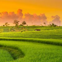 โครงการสตรีตำบลซำยาง 2567