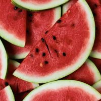 若者とおじさんの部屋 part1 🍉