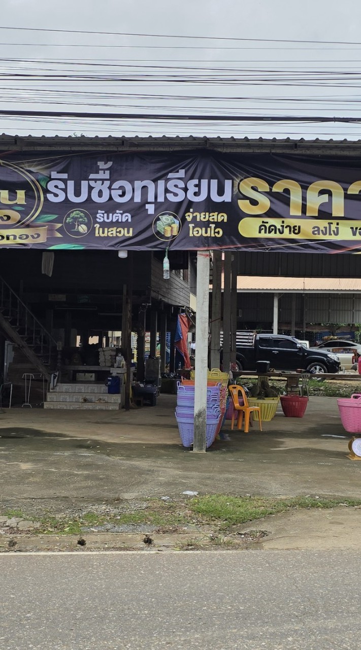 ทุเรียนเนื้อทอง(สุโขทัย)
