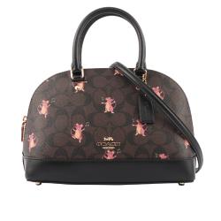 ◎特殊限定款|◎美系時尚大牌|◎品牌:COACH品牌定位:國際精品背法:斜背/側背包款:斜背包/側背包顏色:多色組合,黑色系,棕色系外層材質:動物真皮革外層材質說明:皮革+PVC內層材質:帆布內層材質