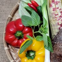 🚛【雙北】 線上生鮮市場（冷藏親送） 🥦🍍🐓🦆🐟🐂🐖
