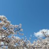 衆議院選挙2026年を議論する政治オプチャ【国政について】経済 議員 投票 雑談 令和8年