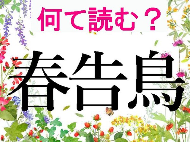 難読漢字 春告鳥ってどんな鳥 春告草 春告魚は ハルメク365
