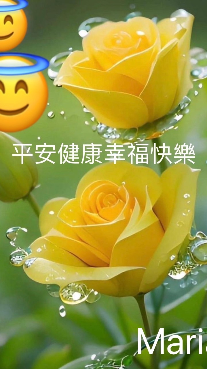 Ton幣增量智慧科技賺錢工具🧰