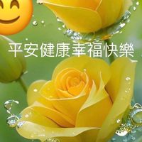 Ton幣增量智慧科技賺錢工具🧰