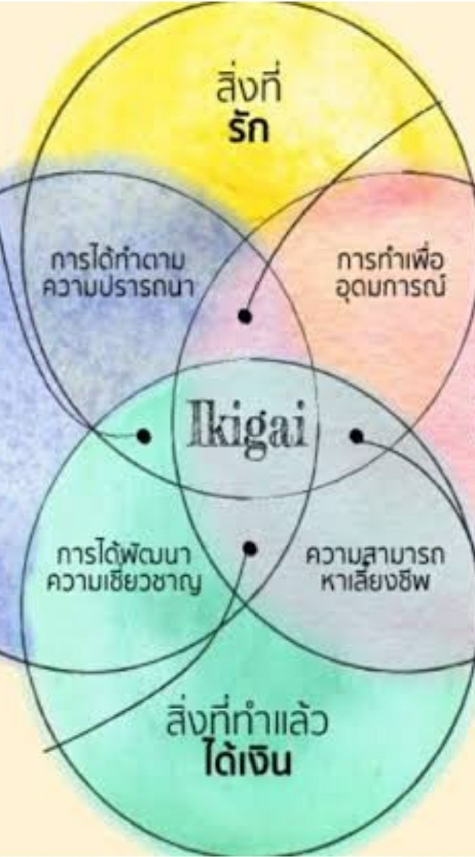 นวก.กลางเขต2