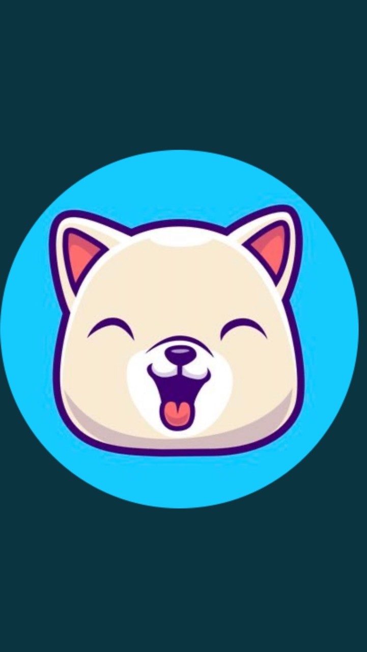 KISHU INU COIN 紀州犬コイン　仮想通貨交流