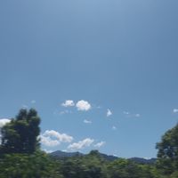 腐圖社