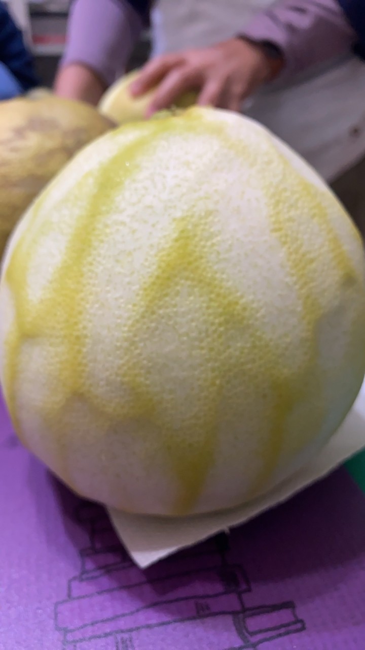 天然清潔手作學習社