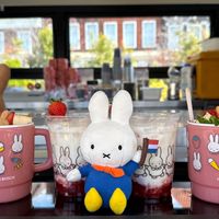Miffy_兔老闆（・x・）