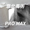 靠北馬術Pro Max