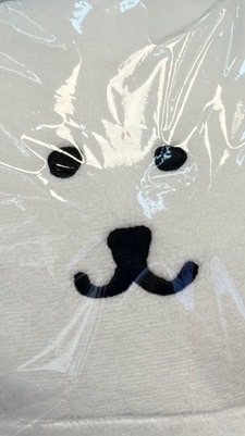 傳說群（？
