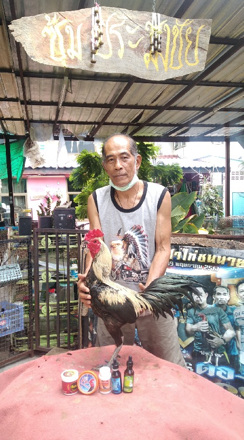 🐓🐓🐓ซุ้ม ก.ประมงชัย(กลุ่ม-เปิดแบ่งไก่คัดผ่าน)🐓🐓🐓