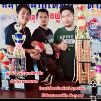 ซุ้มน้องน้ำมนต์ฟาร์ม (เมืองละแม ชุมพร)& ช.ชานนท์ฟาร์ม