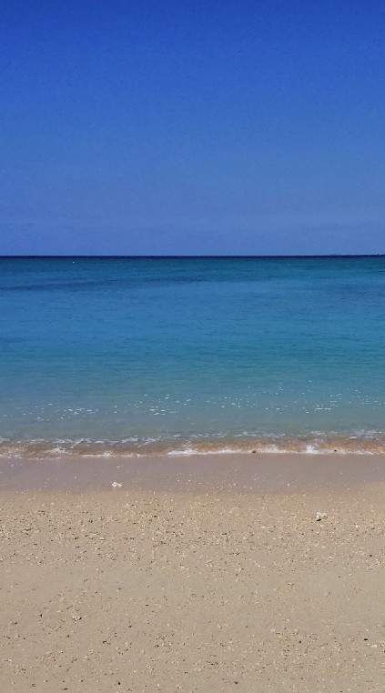 沖縄🌺海が好き🌺のオープンチャット