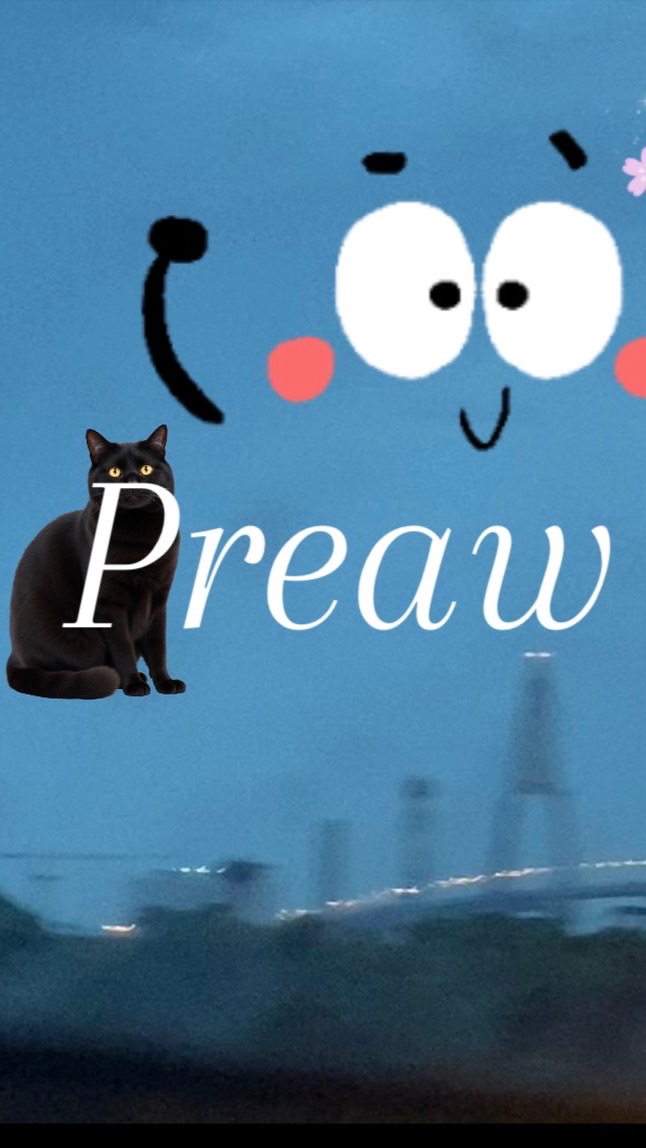 เปิดออดิชั่น/วงpreaw us
