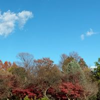 ワコーレ東浦和自治会　　電子掲示板