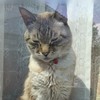 ぬいっ！人形（ぬいぐるみ）大好き集まれーー！