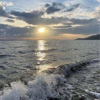 家庭群