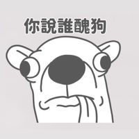 週日-吉娃娃團
