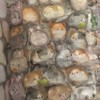 シール帳好き集まれー！
