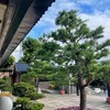 安國寺滴水書坊
