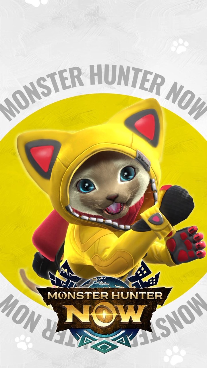 魔物獵人Now(MHN) 1群