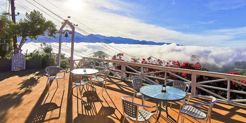 阿里山10間絕美住宿推薦！「歐洲莊園風、日式榻榻米、茶園圍繞」不用跋山涉水也能看日出雲海