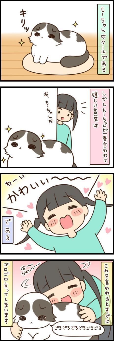 猫が言われて嬉しい 言葉 ツンデレ猫の デレ