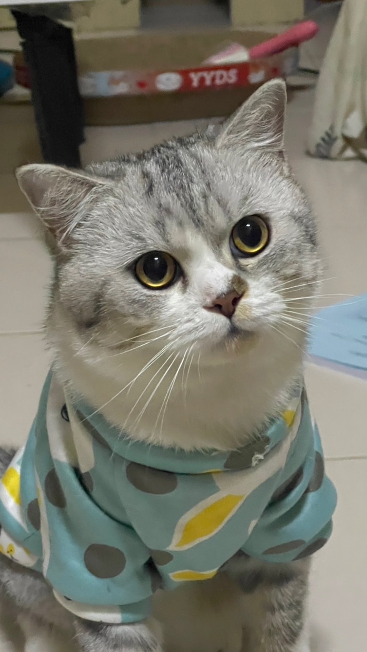 ขนมของเจ้านายย🐾🥣