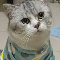 ขนมของเจ้านายย🐾🥣