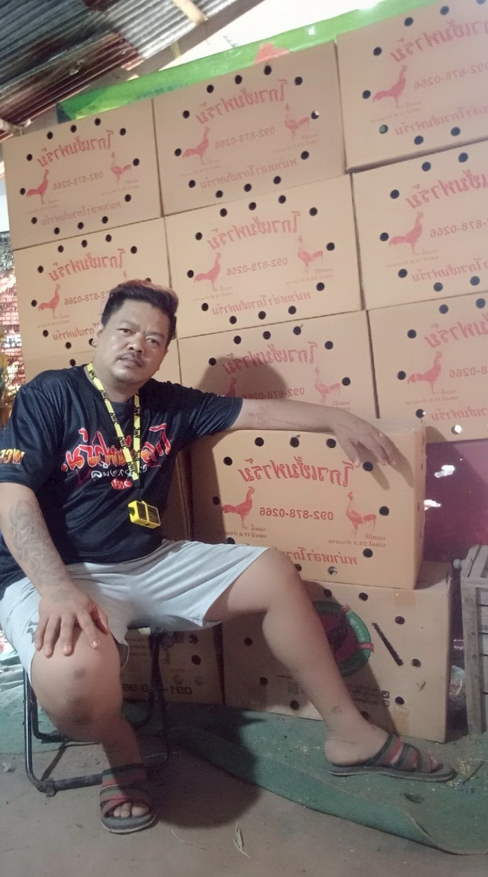 ซุ้ม ส.สุกานดา ฟาร์ม โคราช พม่าสายเลือดโกวเซ้ม100🐉