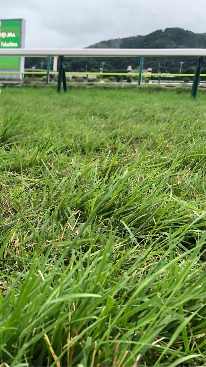 競馬秘密クラブ 桜花爛漫のオープンチャット