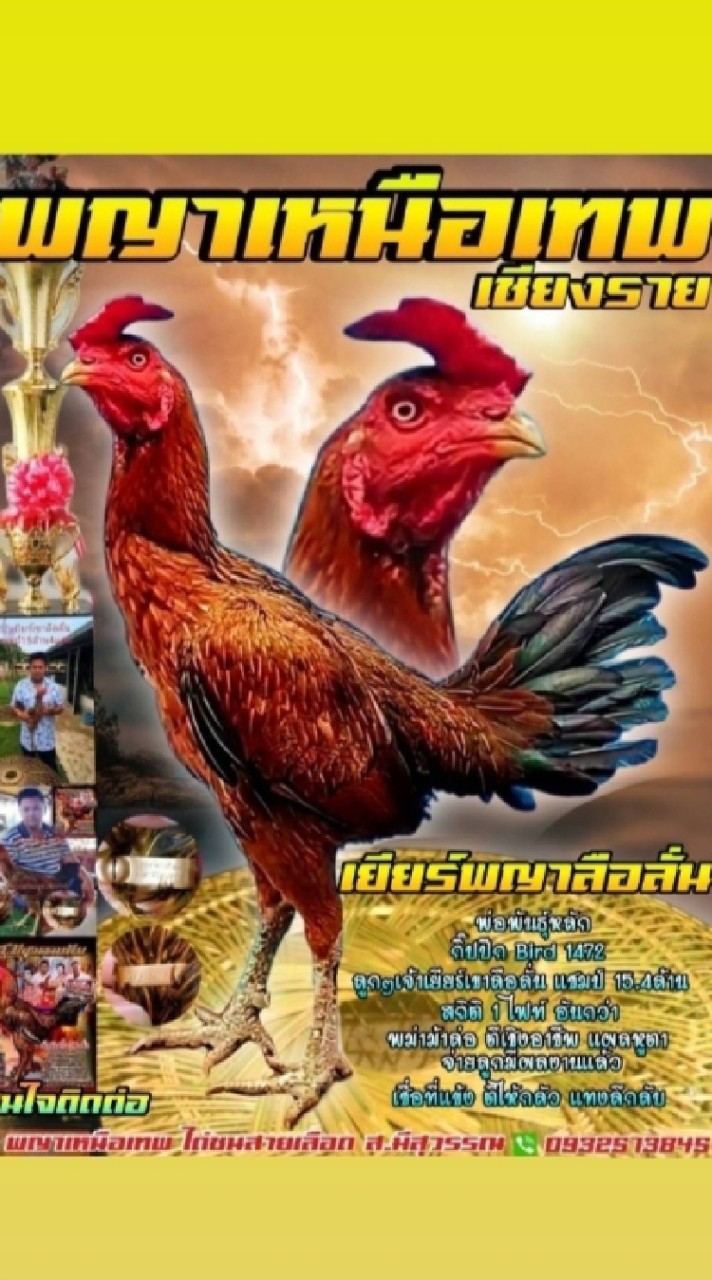 ส.พญาเหนือเทพ ชร.