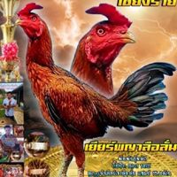 ส.พญาเหนือเทพ ชร.