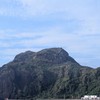 浪浪別館公司群