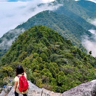 【台中|和平】鳶嘴山。驚險刺激！行走於稜線上/峭壁攀岩的登山。旅遊景點分享