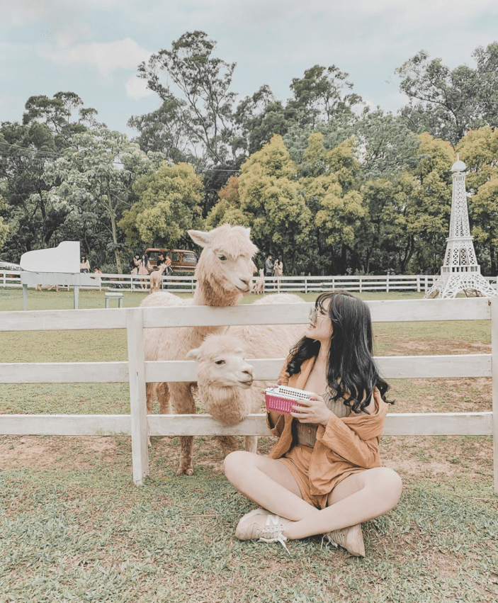 桃園景點推薦#7｜大溪區．富田花園農場