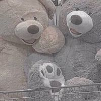 ジャニヲタさんと雑談💬‪‪❤︎‬